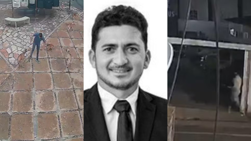 Imagem 4 de Ex-vereador suspeito de envenenar animais no PI é preso em PE | G1