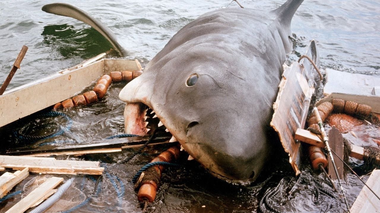 Imagem 3 de O dia em que Steven Spielberg percebeu que Tubarão seria um sucesso foi graças a uma experiência muito desagradável