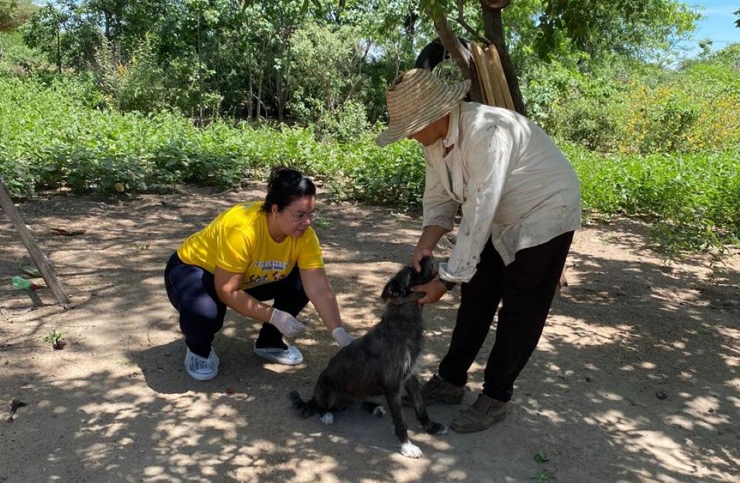 Prevenção: Prefeitura de Senhor do Bonfim intensifica vacinação antirrábica animal