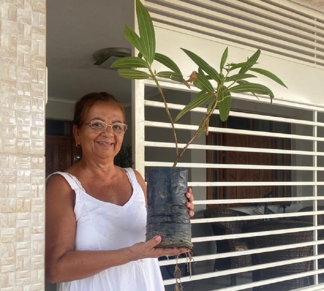 Ações do Arboriza Bonfim reforçam compromisso da Prefeitura com obras de qualidade e preservação ambiental