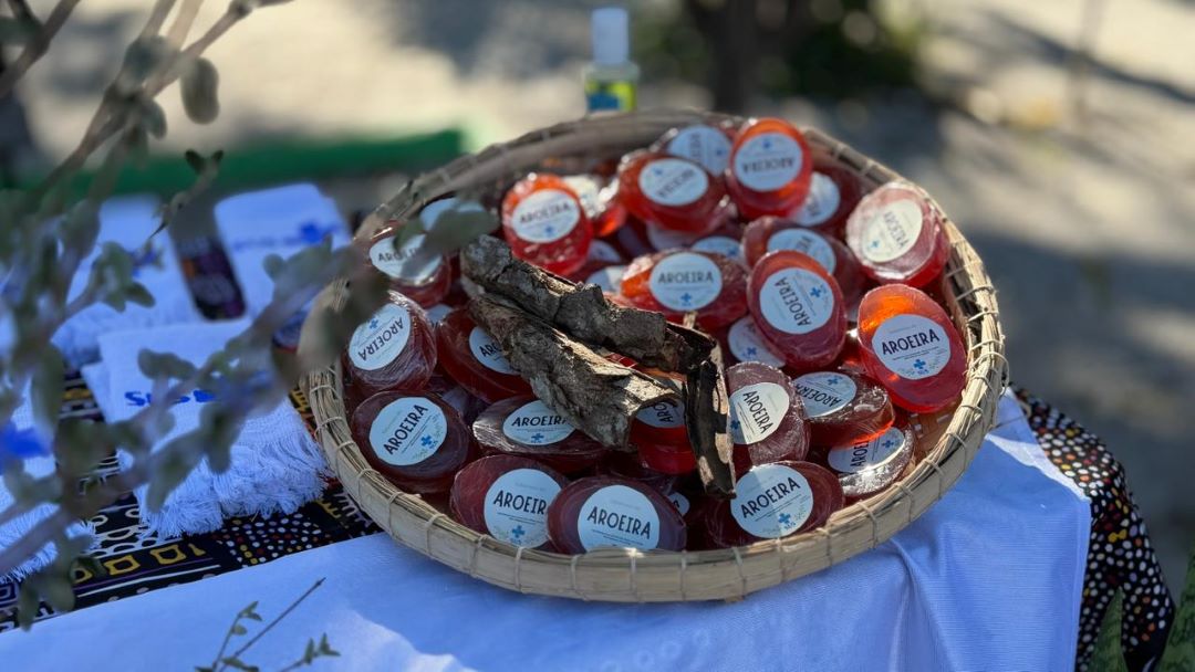 Imagem 6 de Praça do Alto da Maravilha vira espaço de saúde e acolhimento em ação premiada da Prefeitura de Senhor do Bonfim